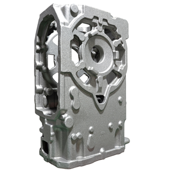 Case for Transmission